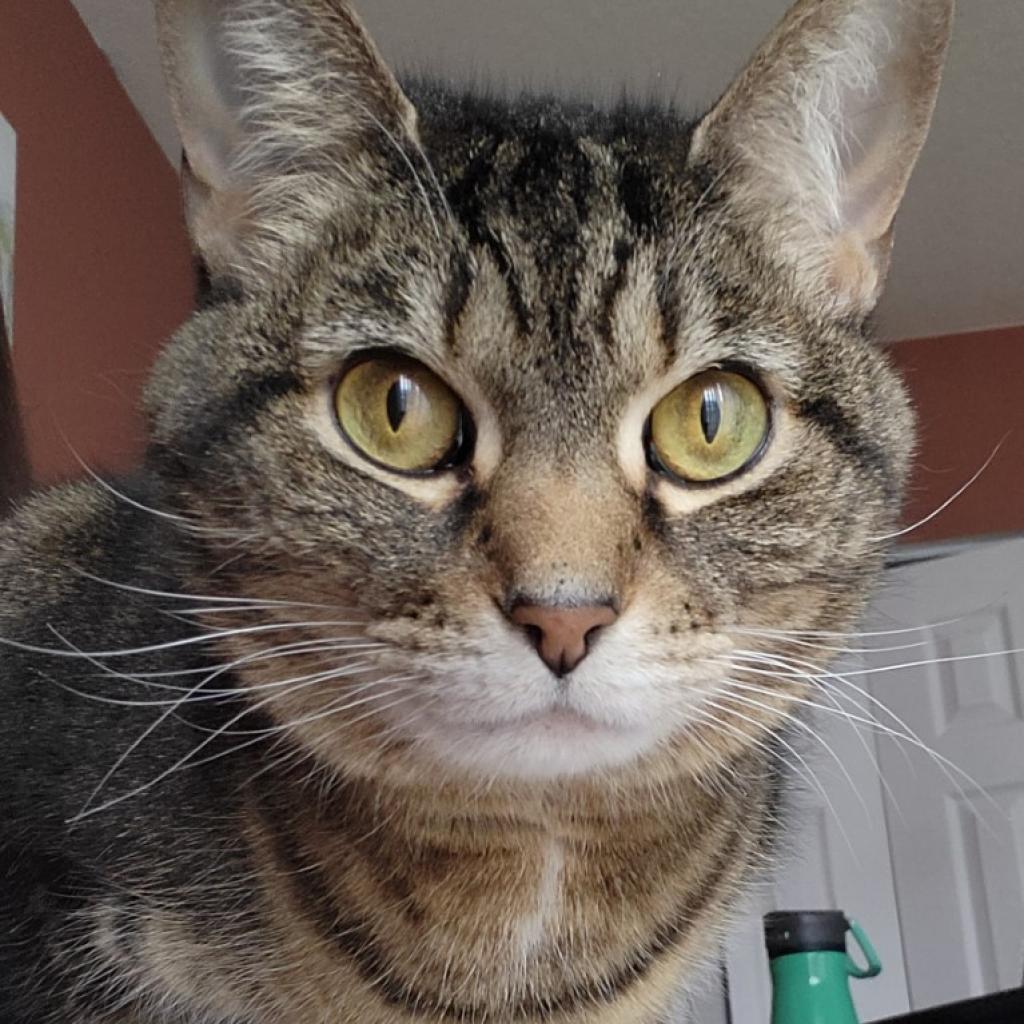 Photo of Lilly