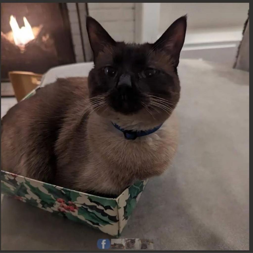 Frankie