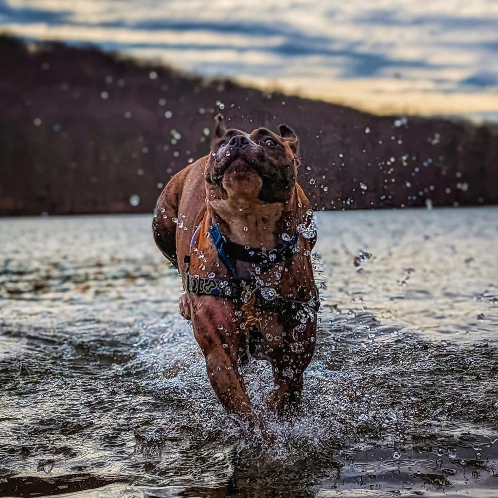 Photo of Ultra Paradise 9