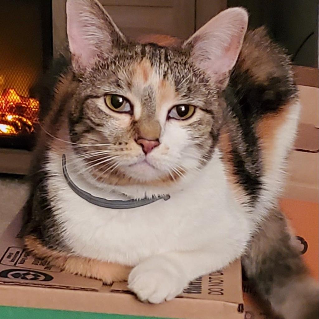 Lala