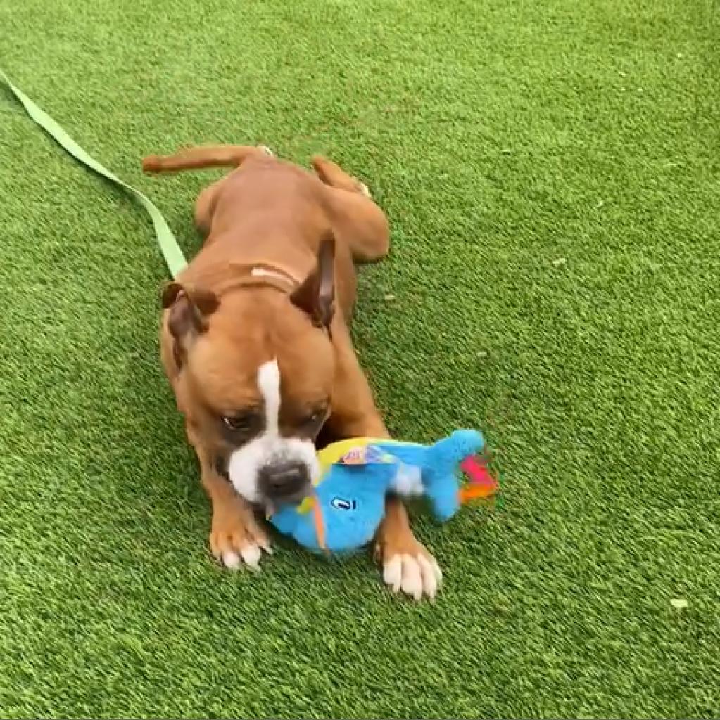 Photo of Penelope 11