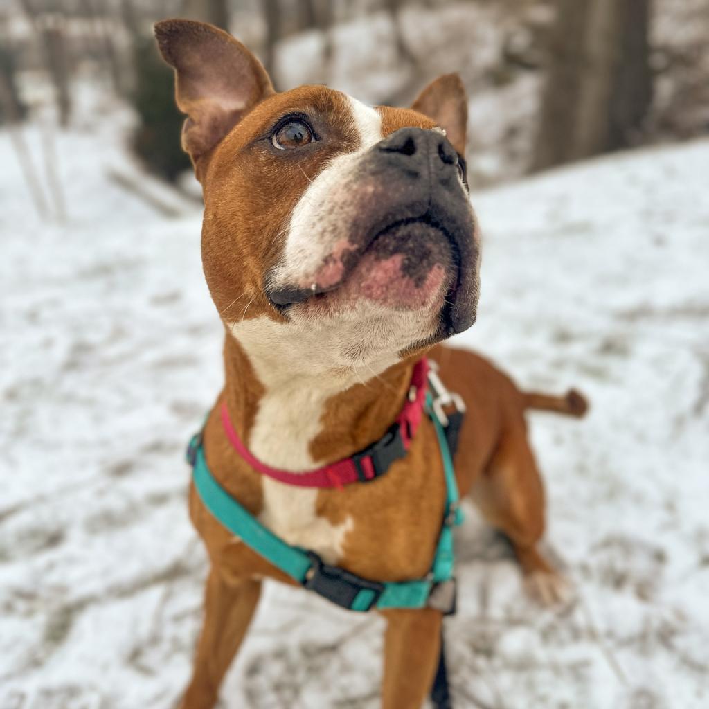 Photo of Penelope 13