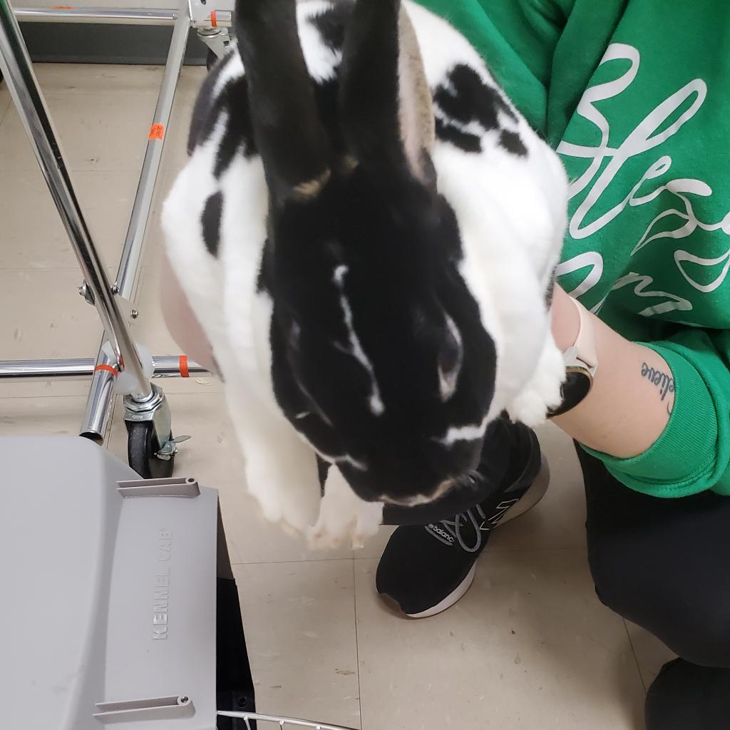 Photo of Eva 3