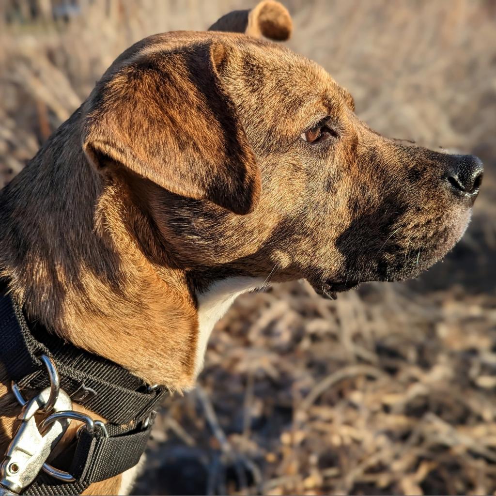 Photo of Rusty 9
