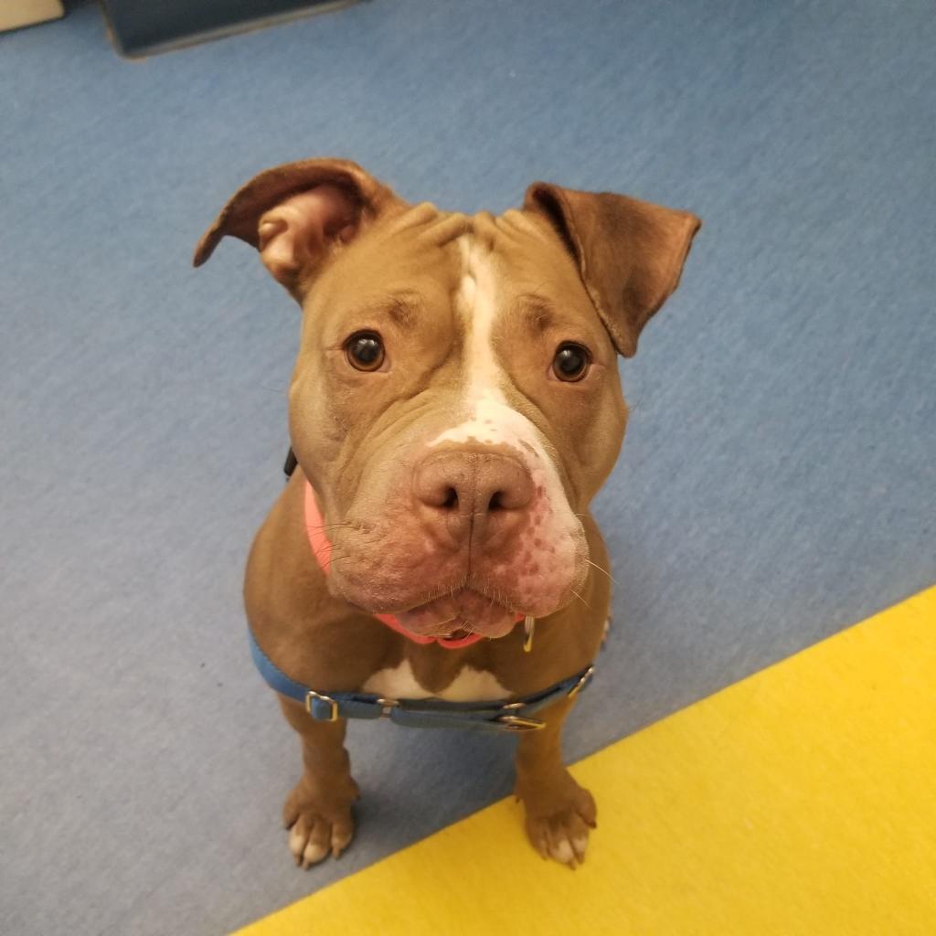 Photo of Hazel 10