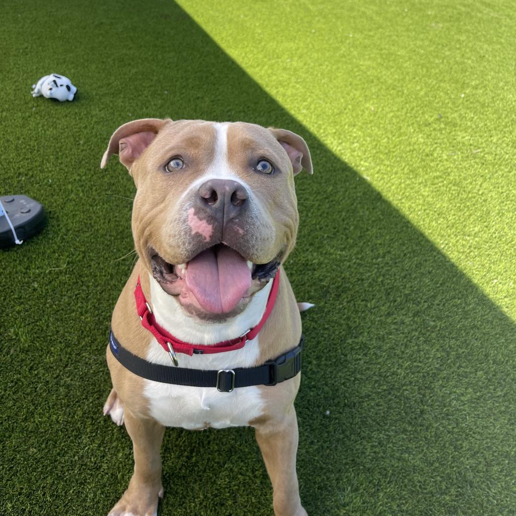 Photo of Butters 5