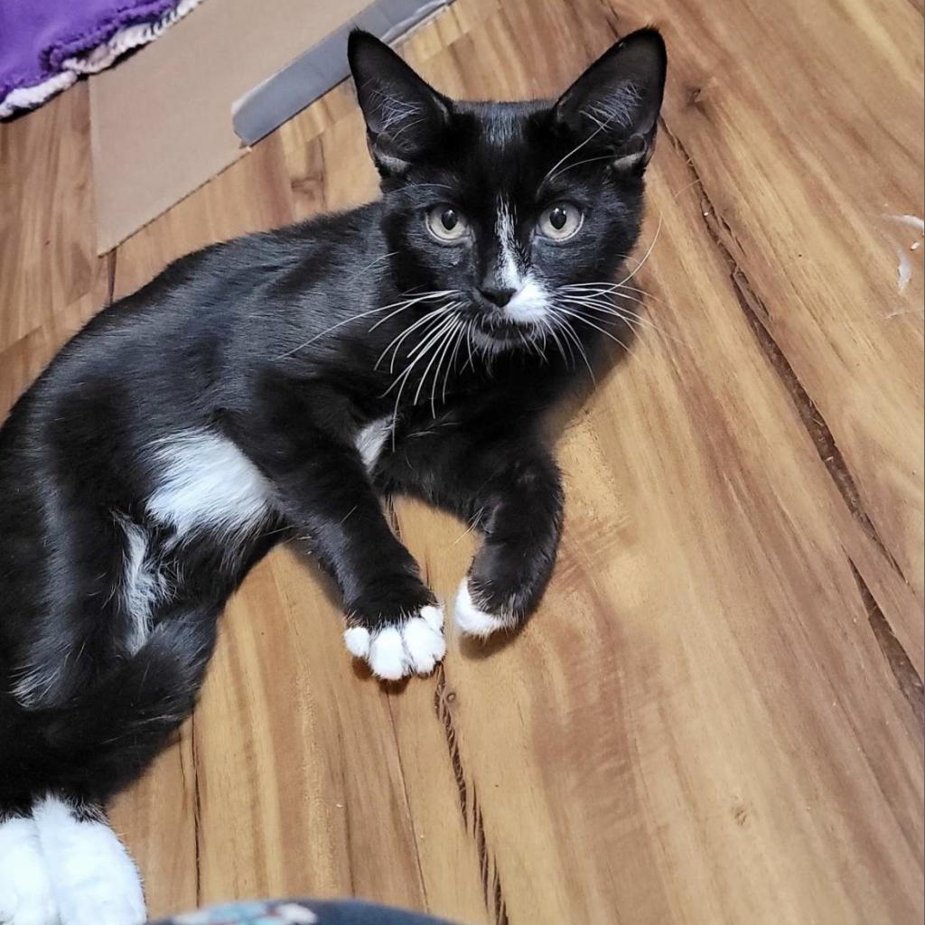 Photo of Odette