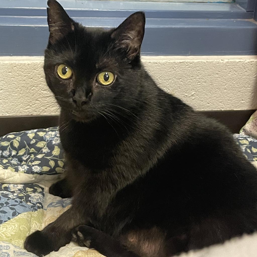 Photo of Sweetsie