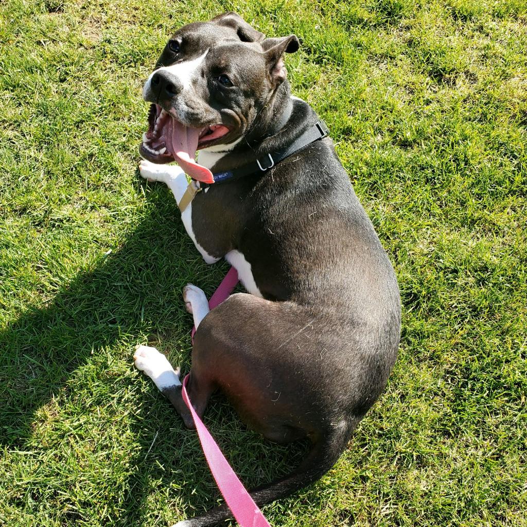 Photo of Scout 3