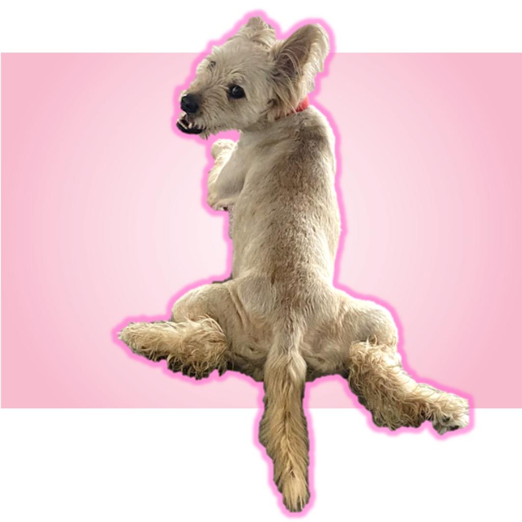 Photo of Milli