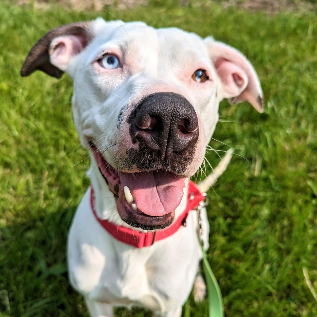 Photo of Missy
