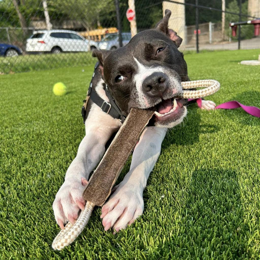 Photo of Scout 17