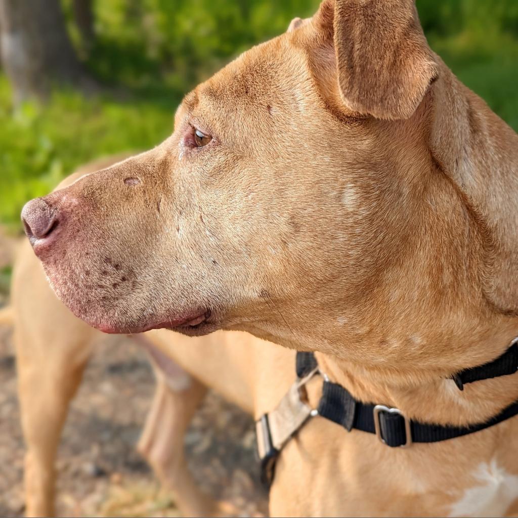 Photo of Bud 13