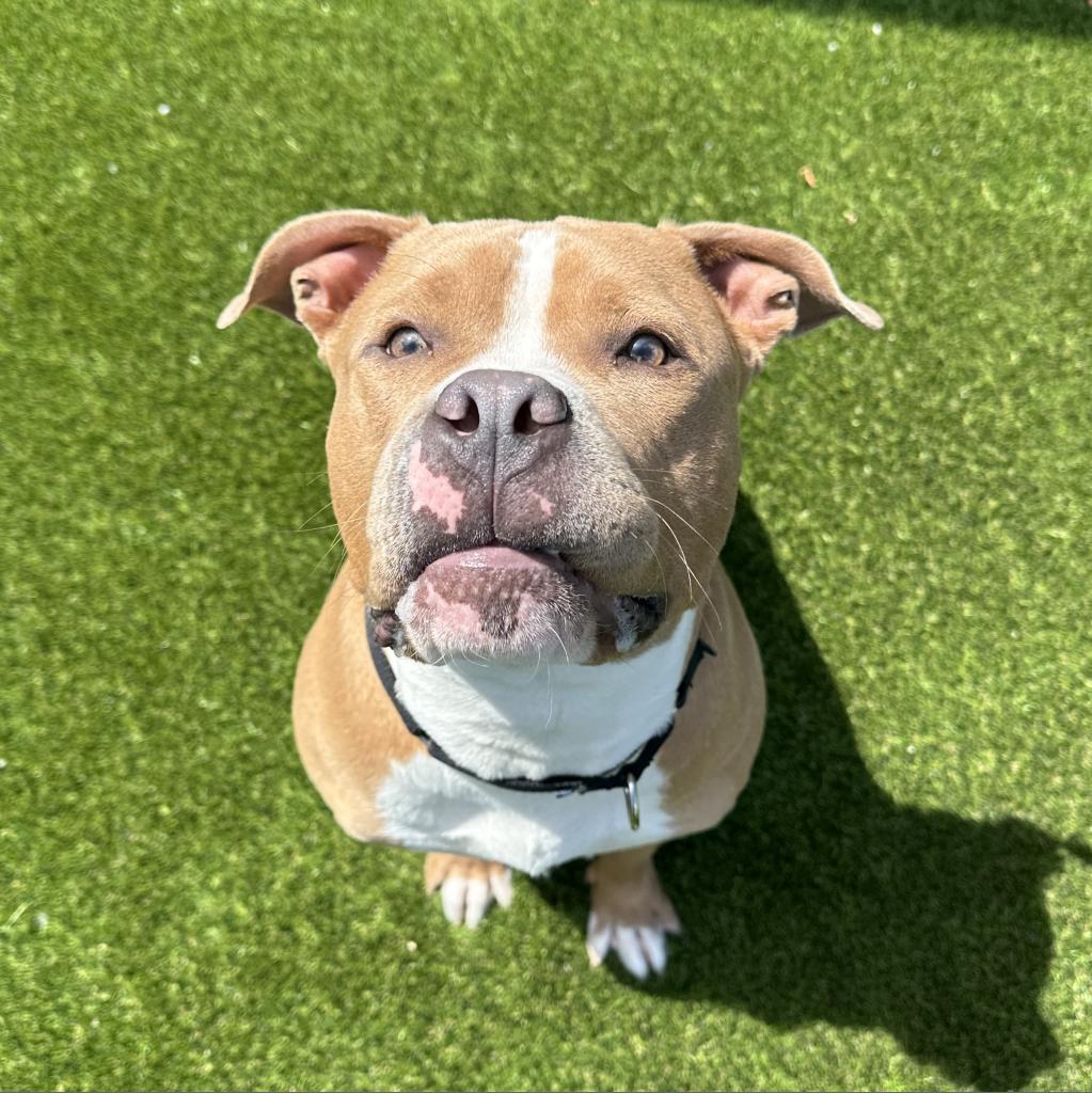 Photo of Butters 9
