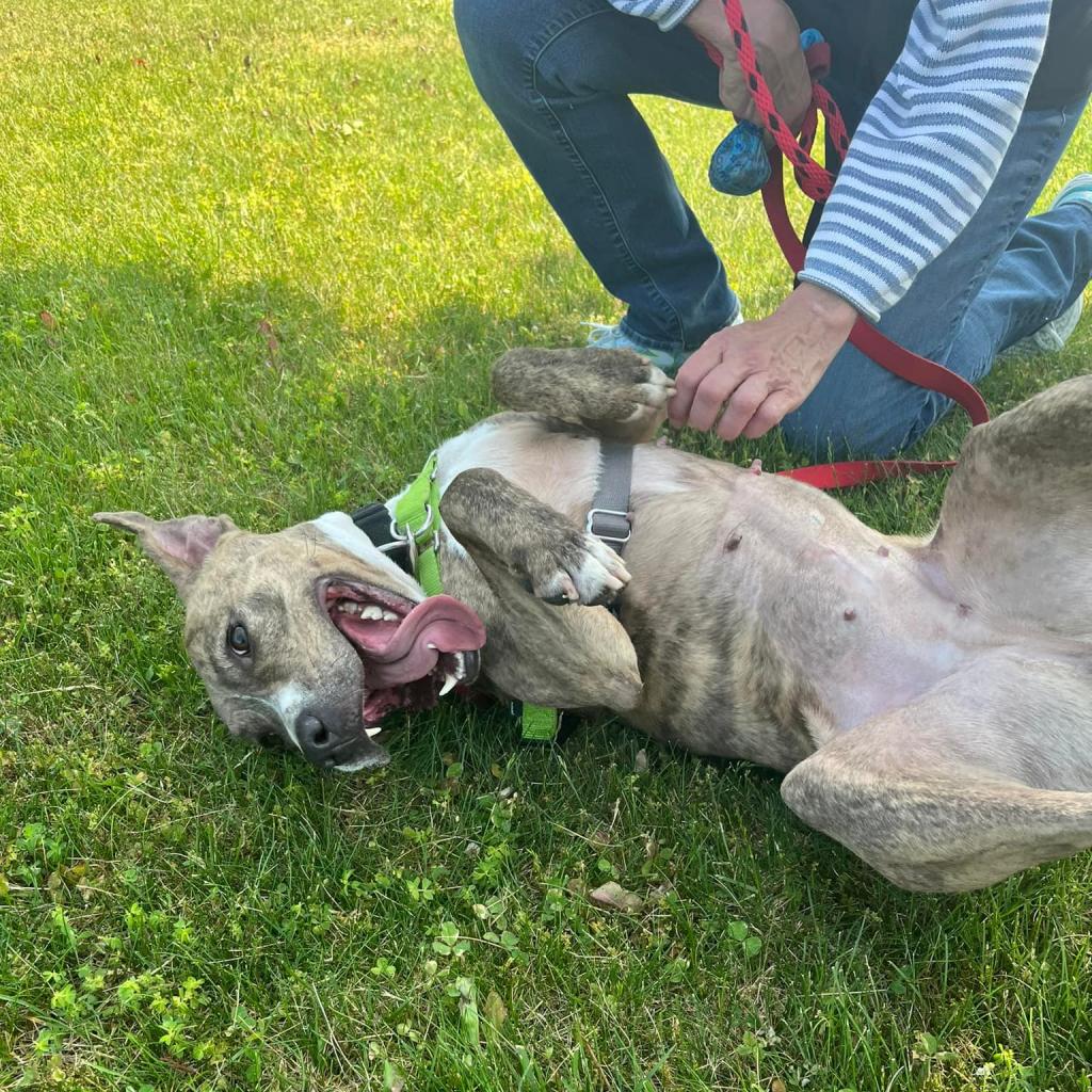 Photo of Birdie 7