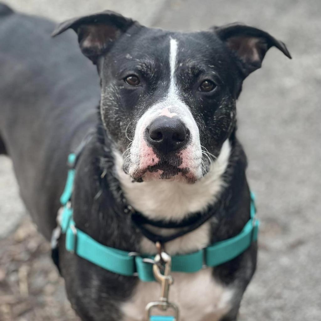 Photo of Lily 9