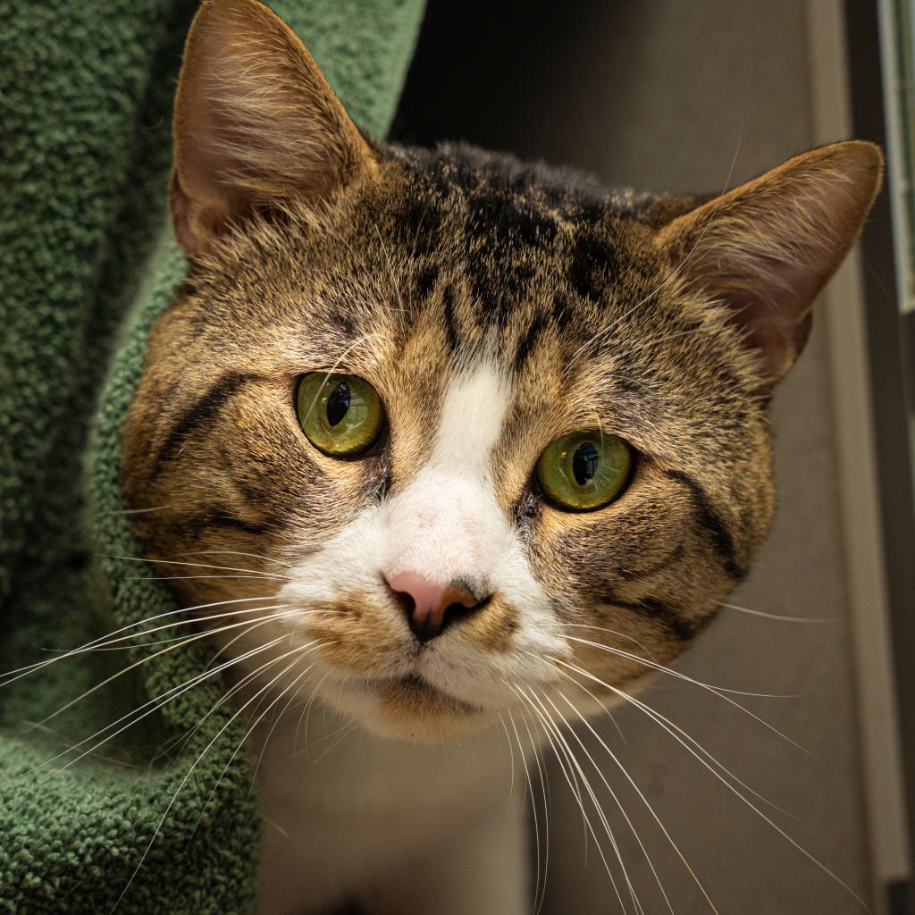 Photo of Pawtrick Swayze