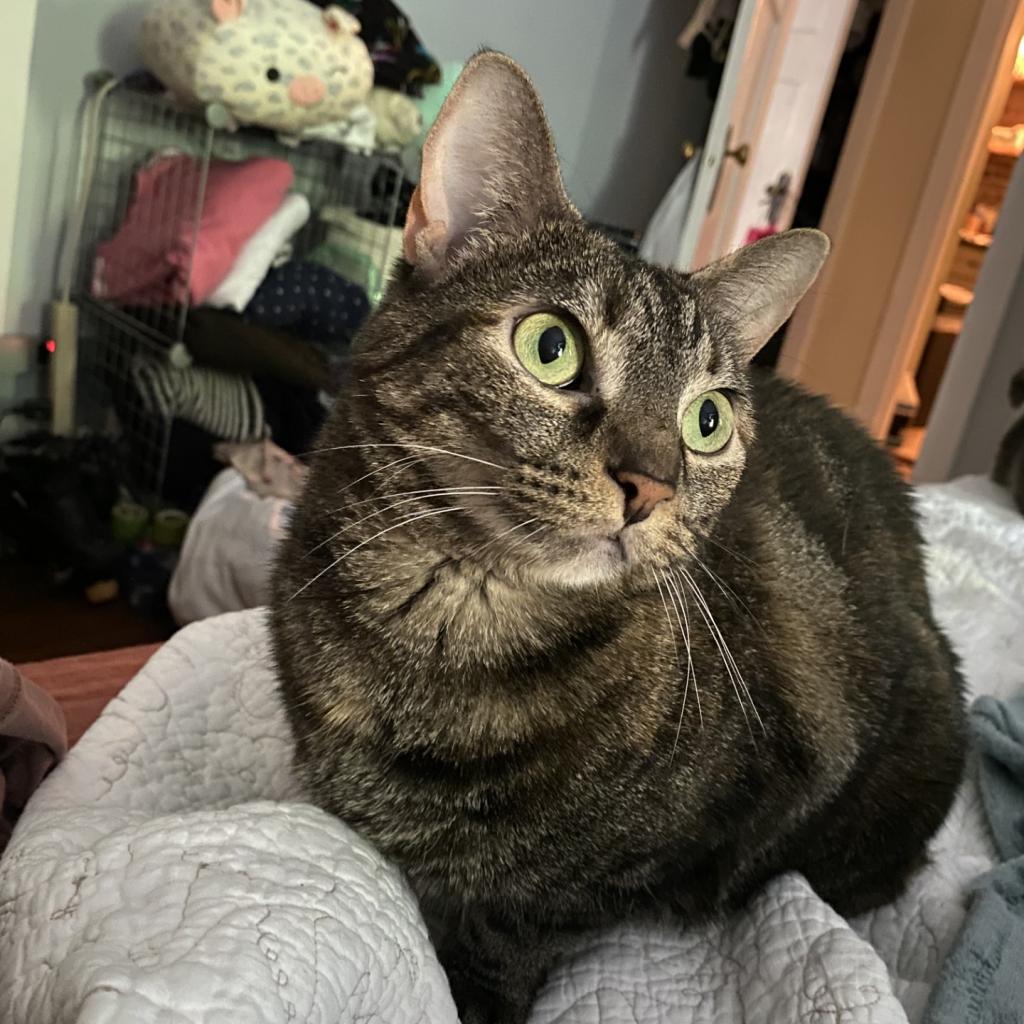 Photo of JoJo