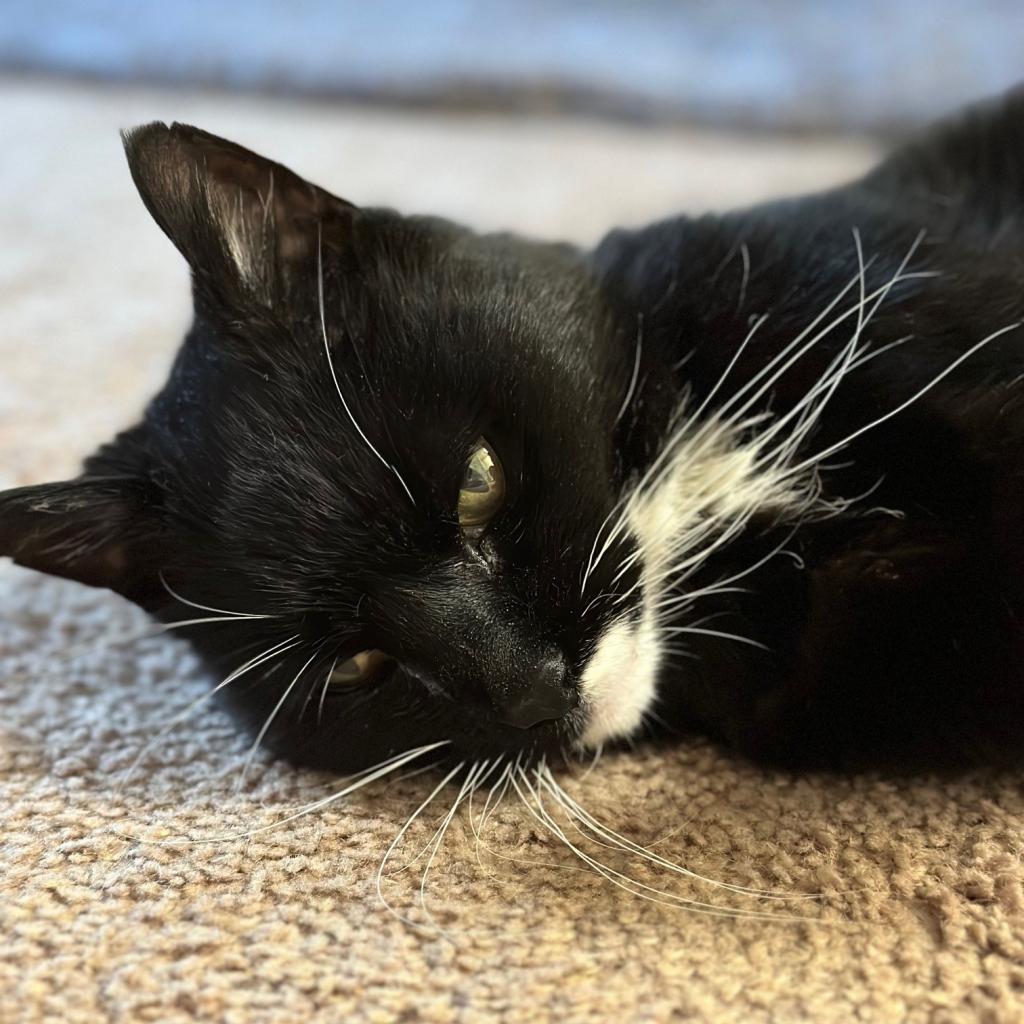Photo of Lucille 3