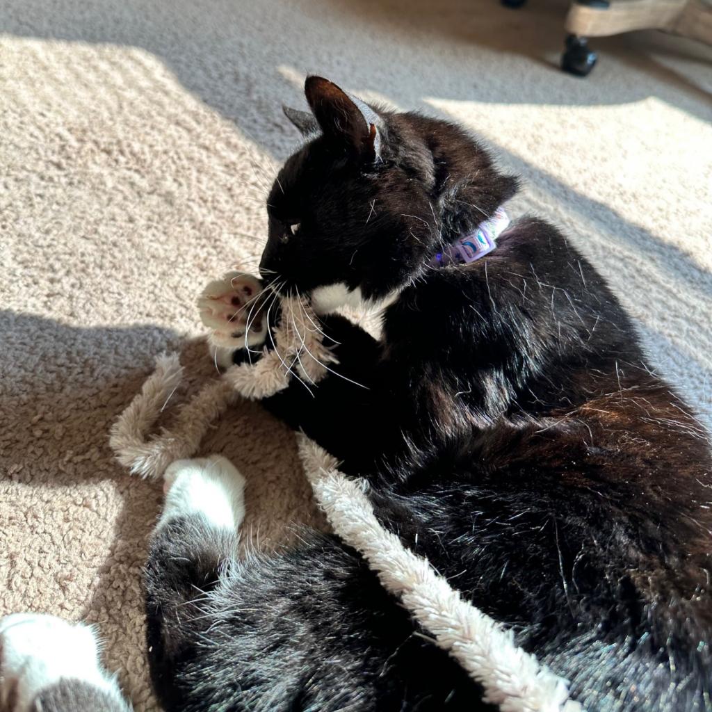 Photo of Lucille 8