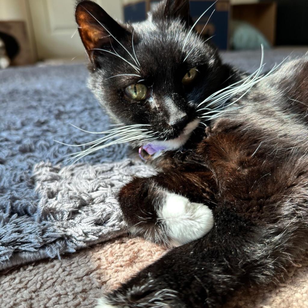 Photo of Lucille