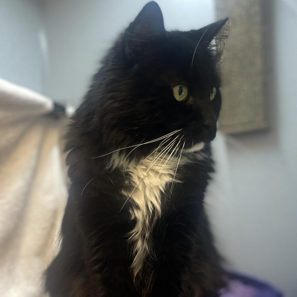 Photo of Klaus 4