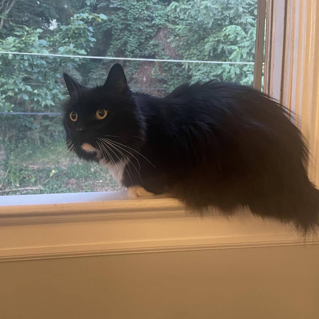 Photo of Klaus