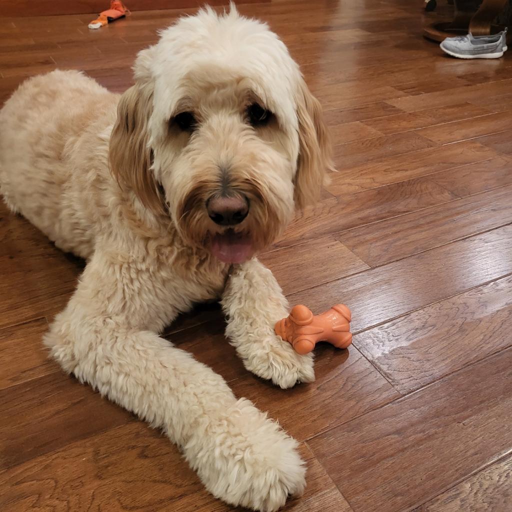Oliver