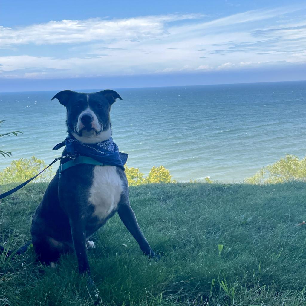Photo of Lily 11