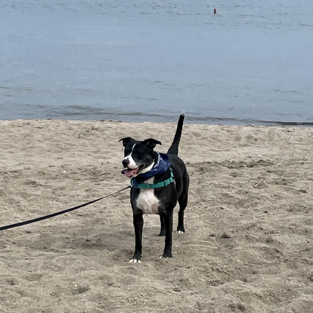 Photo of Lily 10