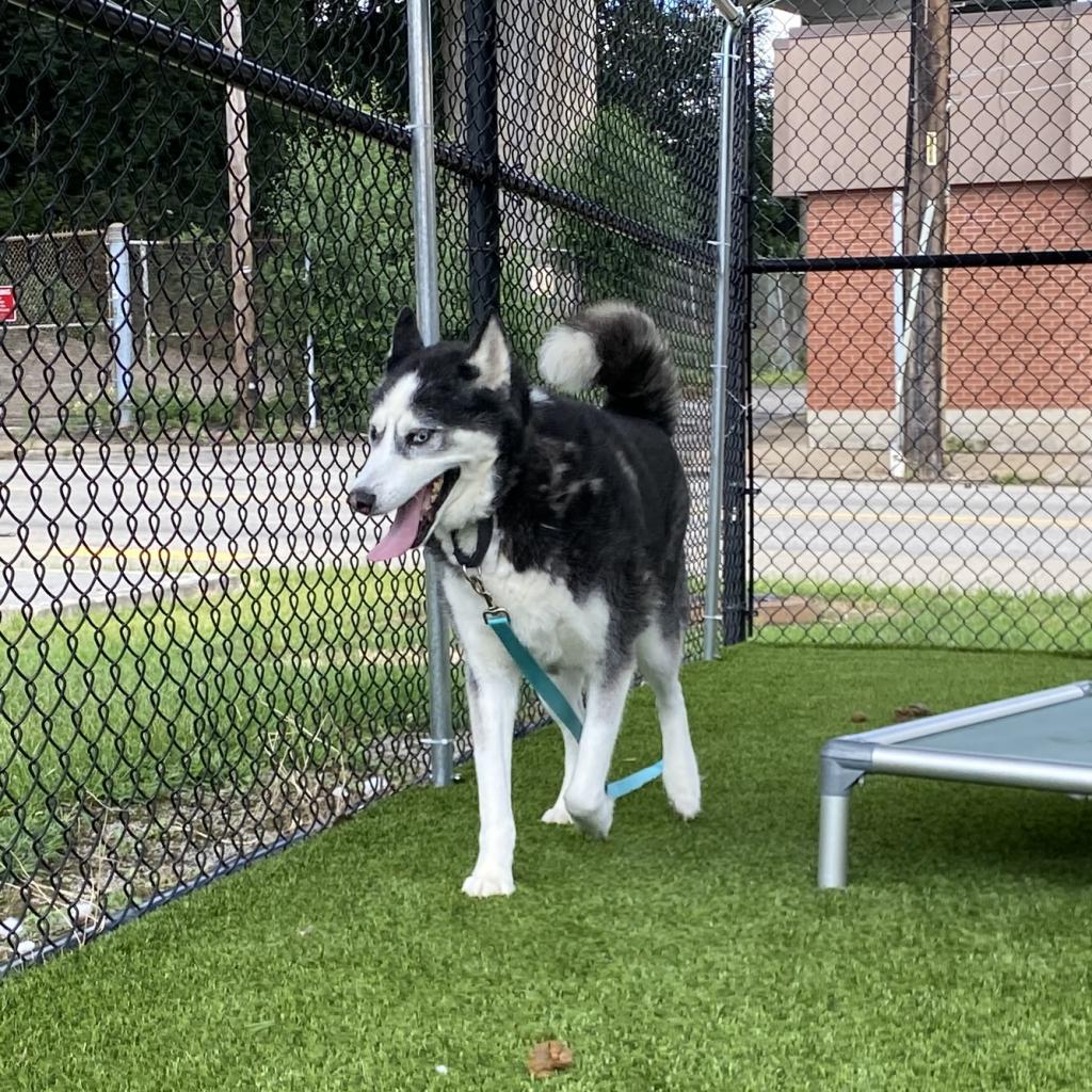 Photo of Kenai 12
