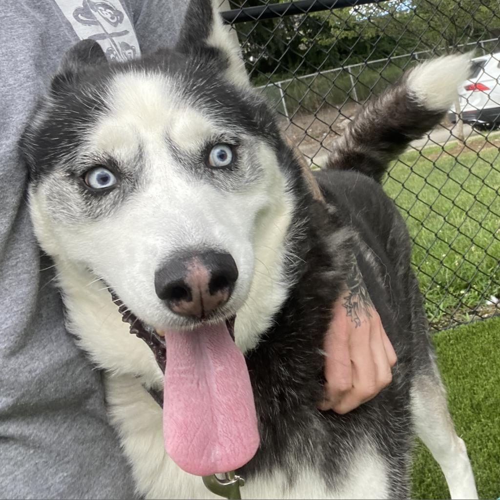 Photo of Kenai 18