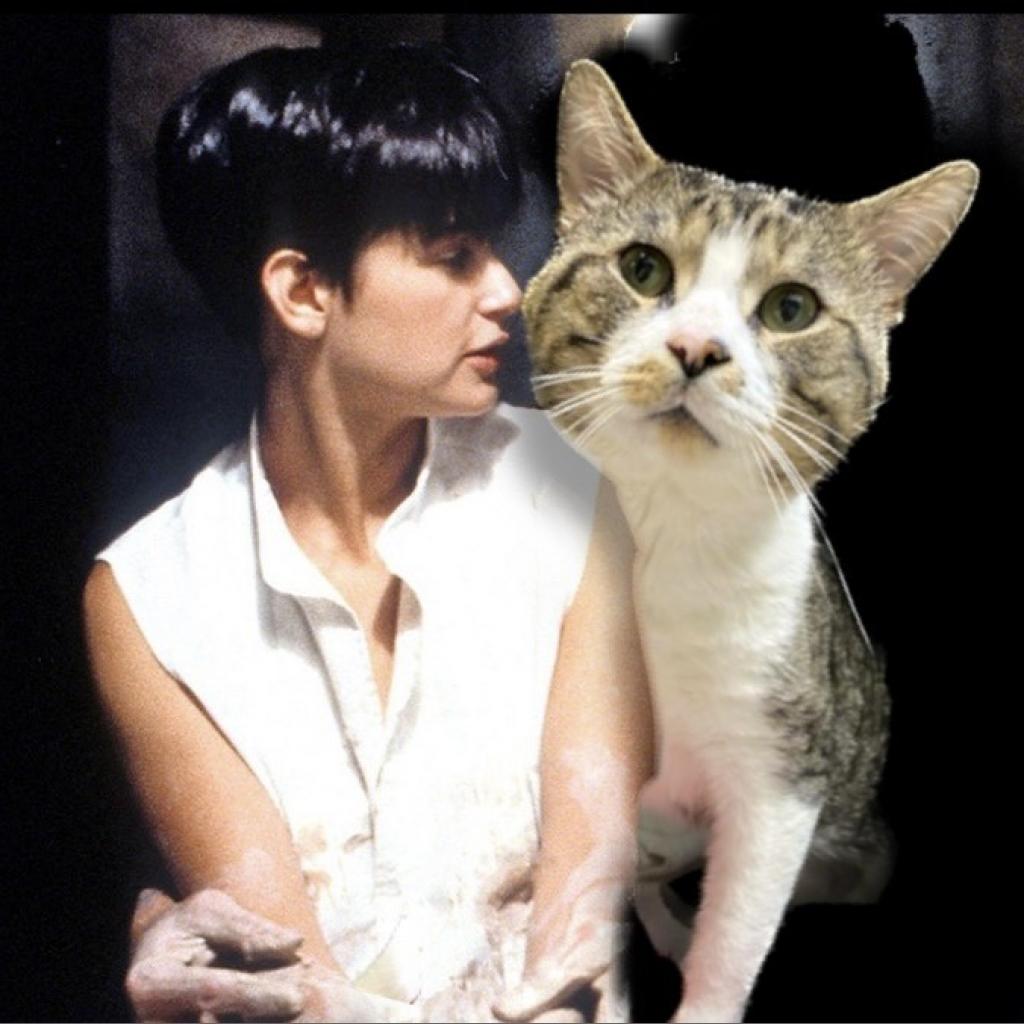 Photo of Pawtrick Swayze 4