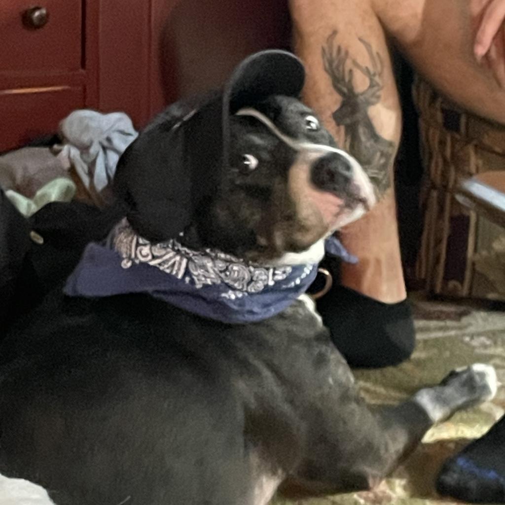 Photo of Lily 19