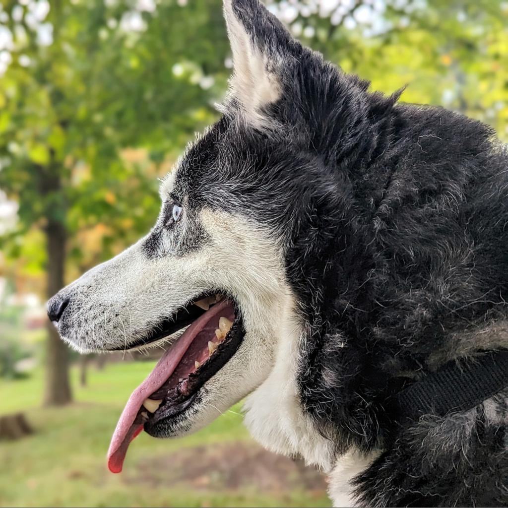 Photo of Kenai 13
