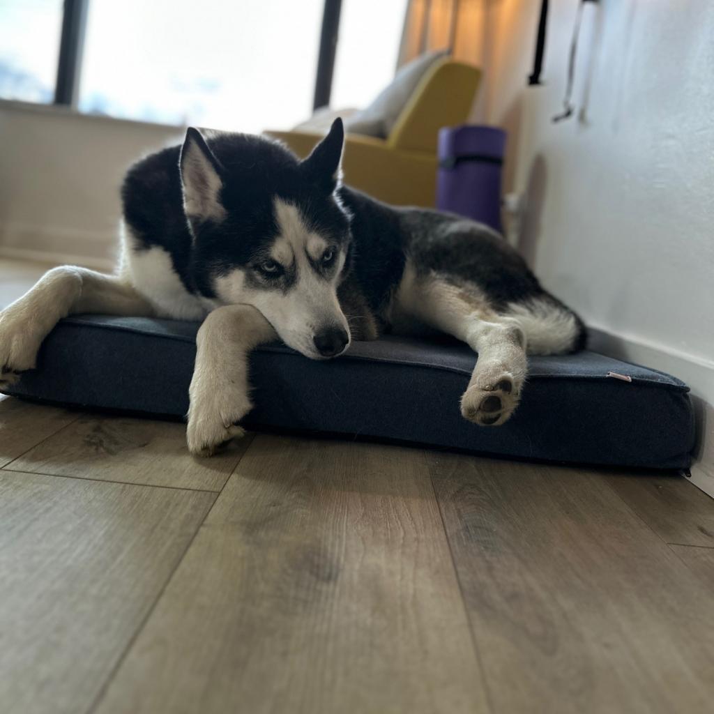 Photo of Kenai 14