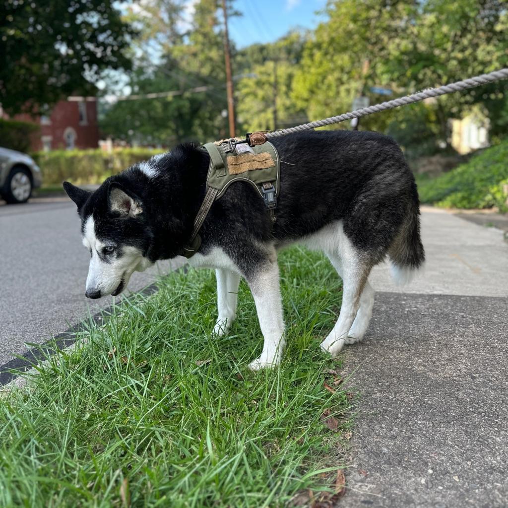 Photo of Kenai 15