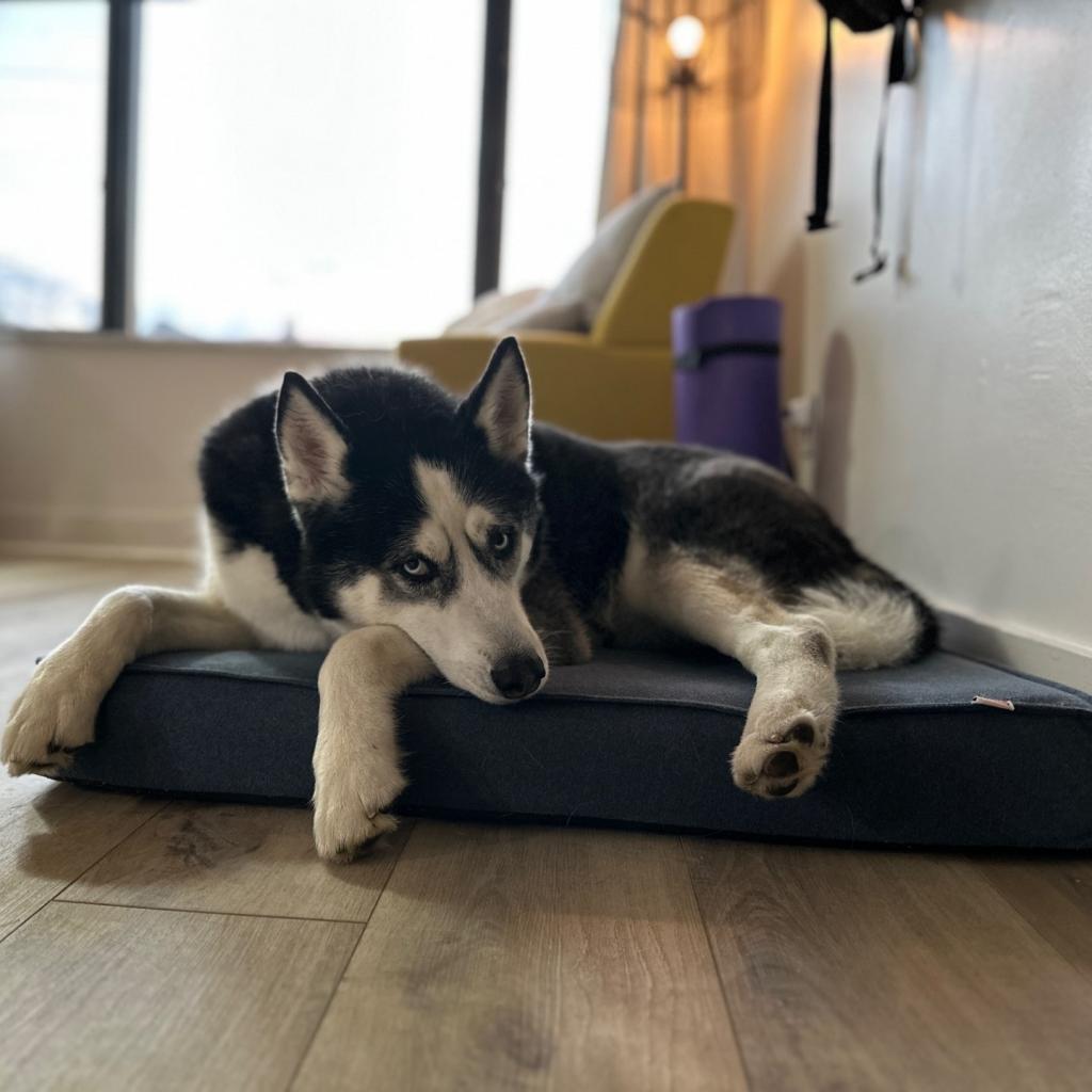Photo of Kenai 17