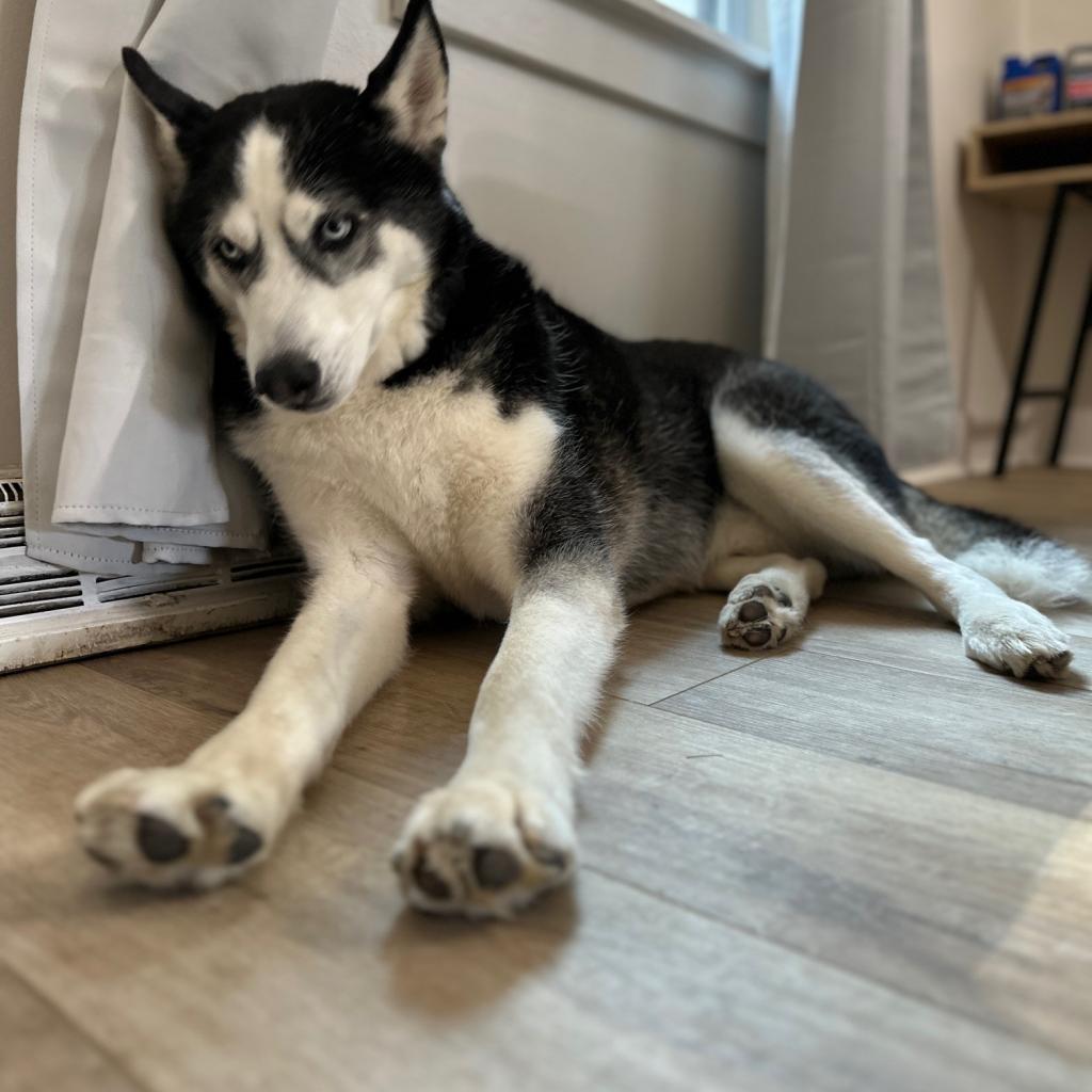 Photo of Kenai 5