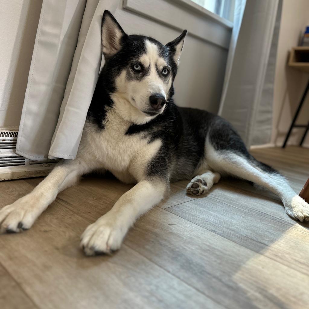 Photo of Kenai 6