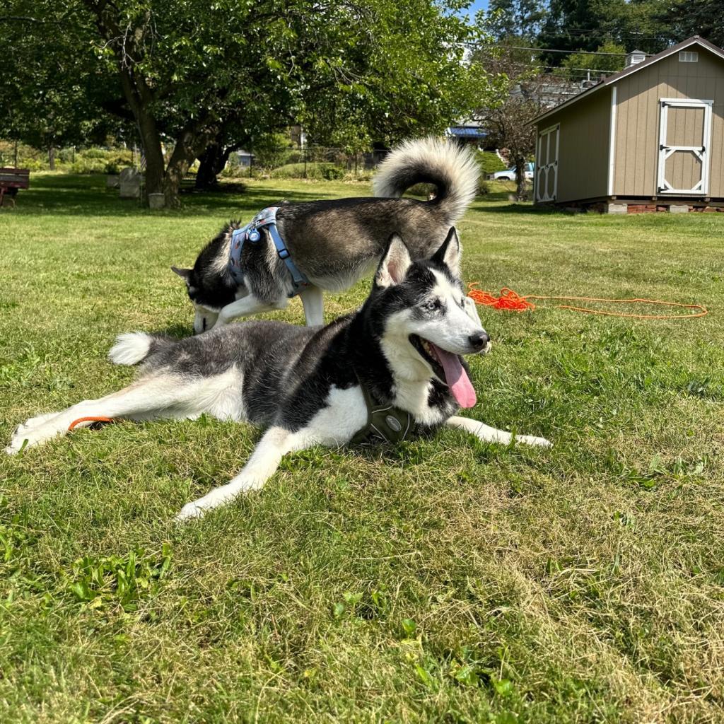 Photo of Kenai 7