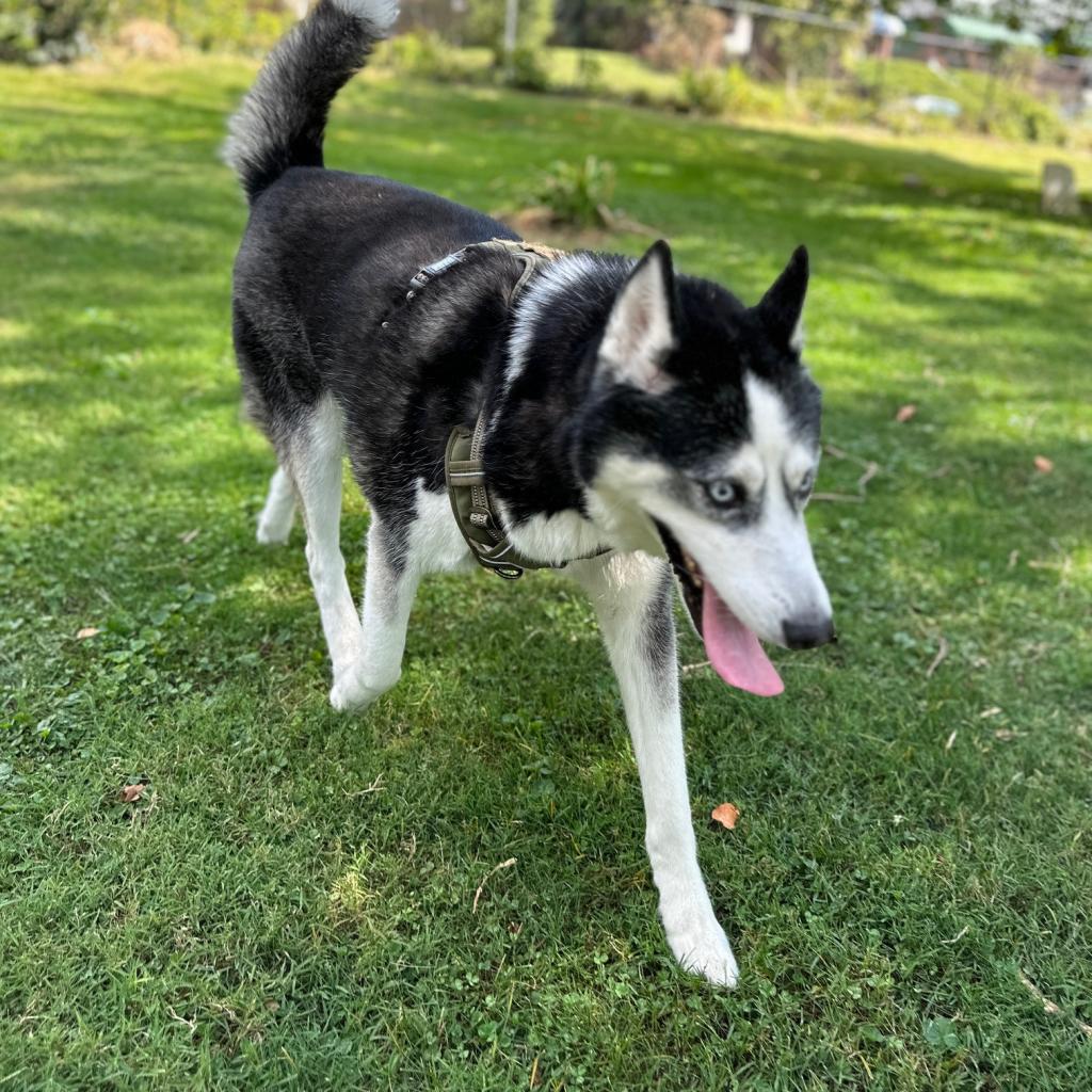 Photo of Kenai
