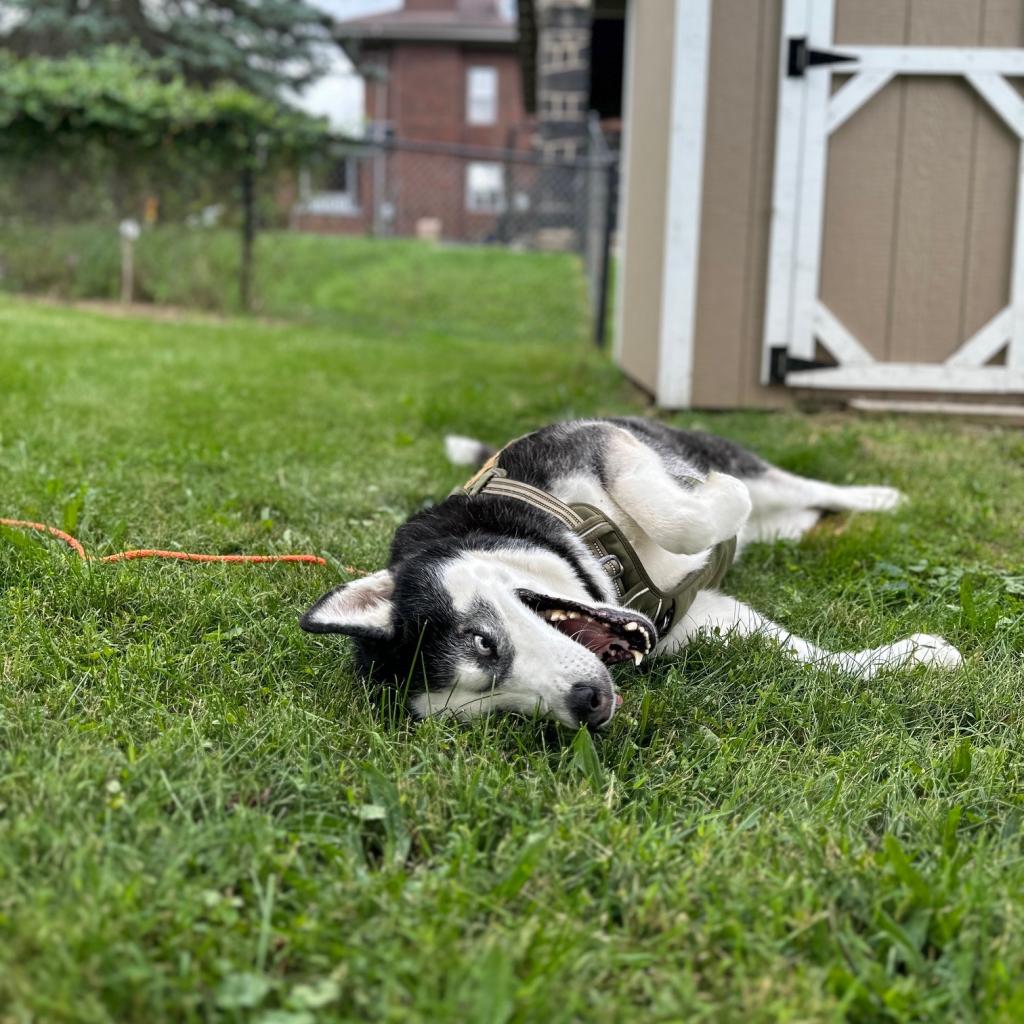 Photo of Kenai 9