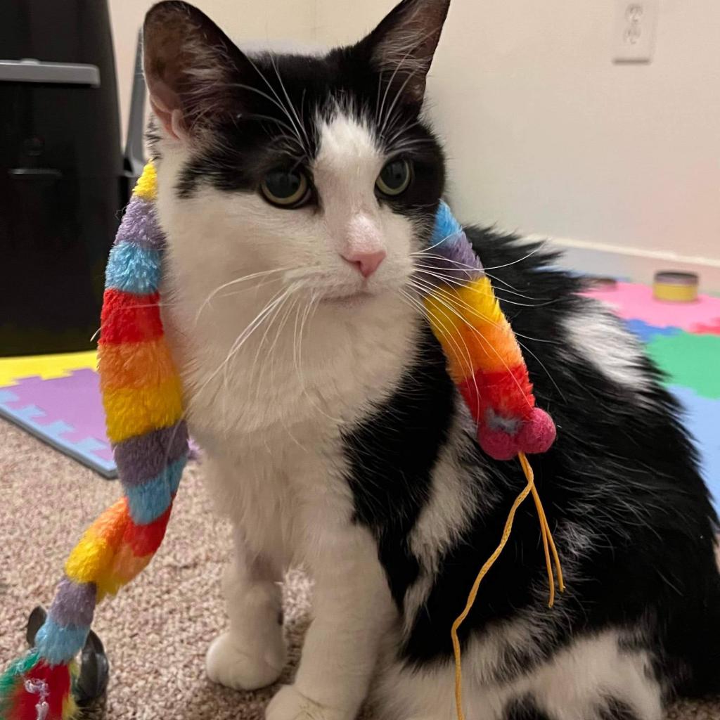 Photo of Zora