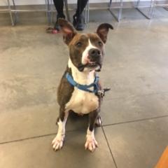 Photo of Buster Brown 3
