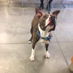 Photo of Buster Brown 5