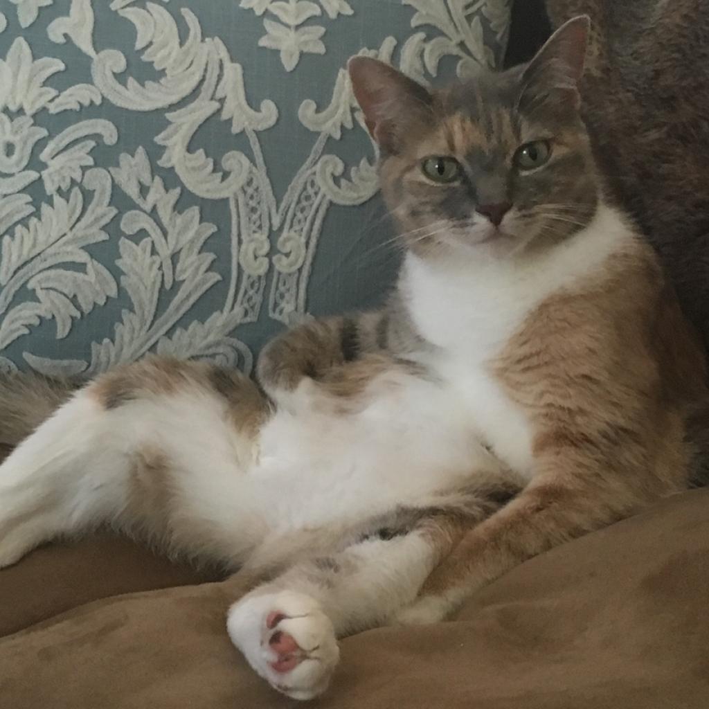 Milo
