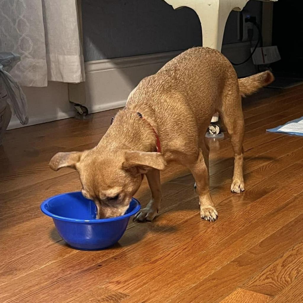 Photo of Frannie 7