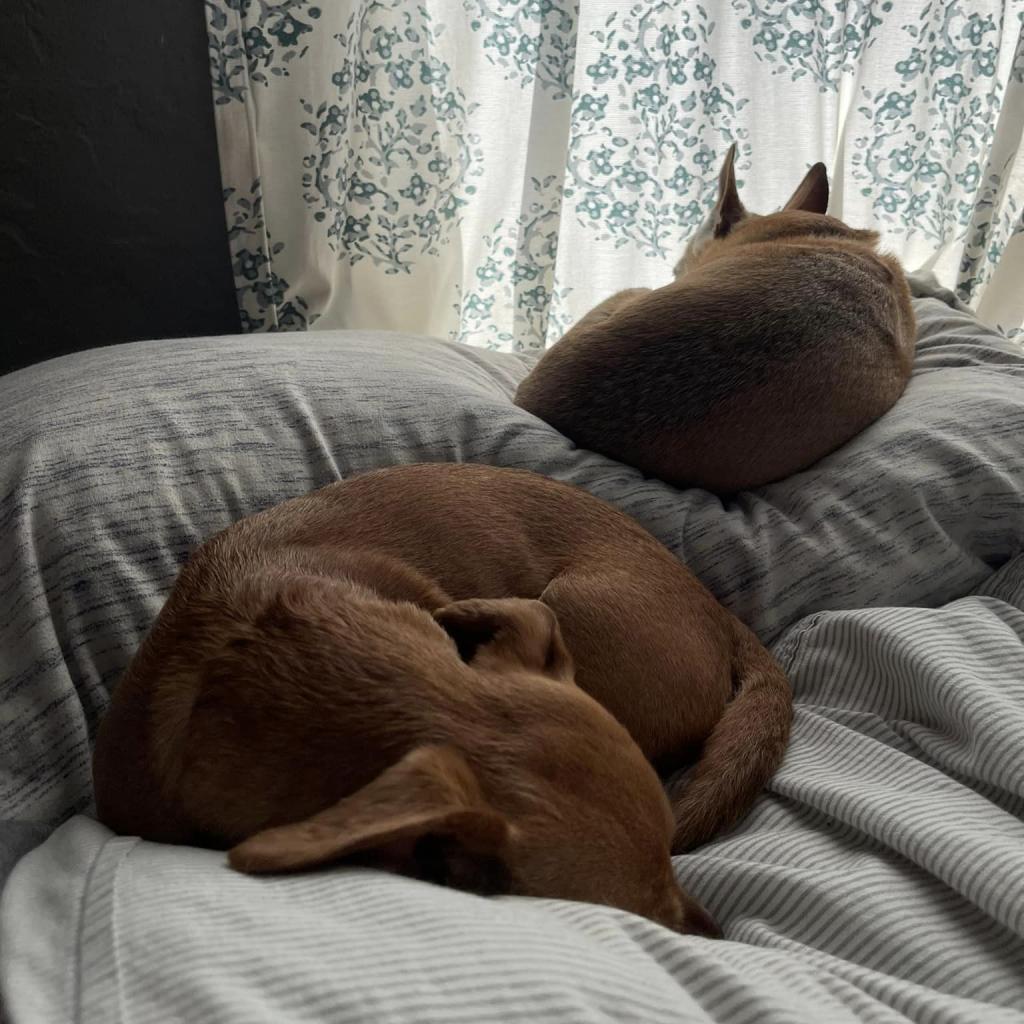Photo of Frannie 8