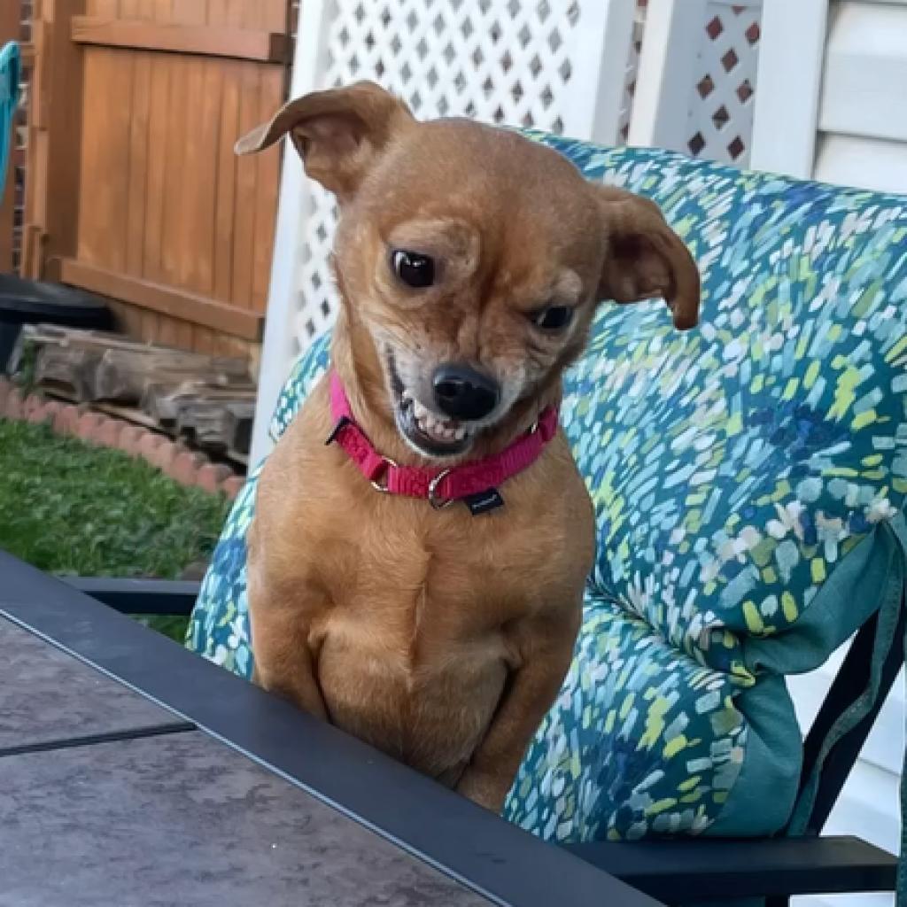 Photo of Frannie 9